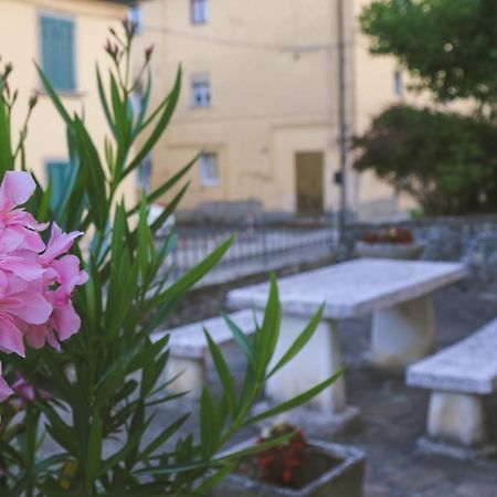 Casa Con Giardino In Mugello A 30 Minuti Da Firenze "Soleluna" Osteria di Novoli المظهر الخارجي الصورة