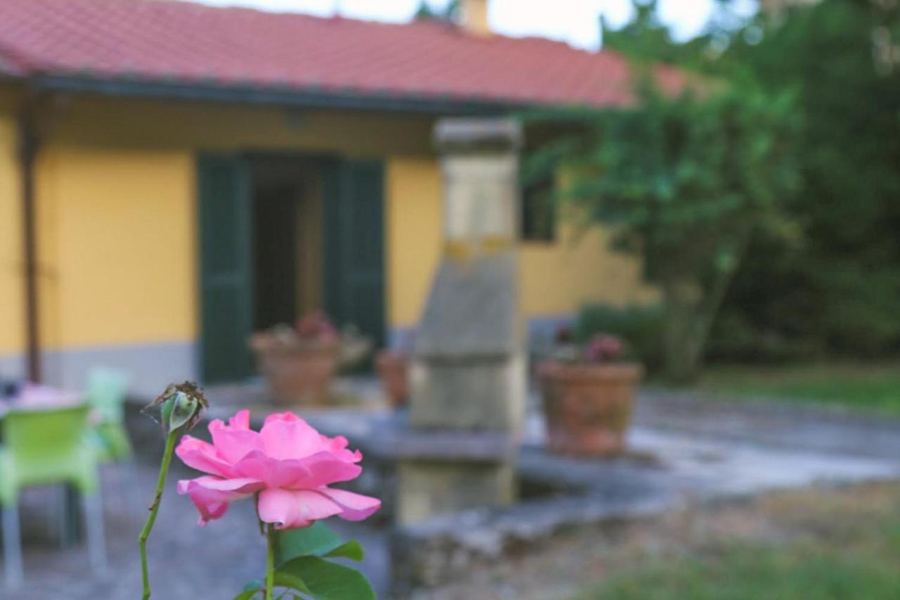 Casa Con Giardino In Mugello A 30 Minuti Da Firenze "Soleluna" Osteria di Novoli المظهر الخارجي الصورة